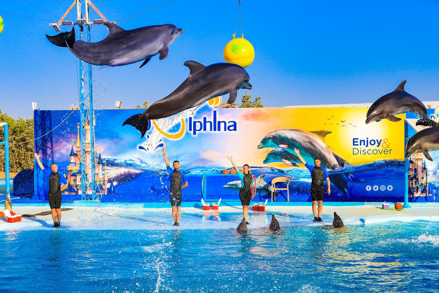 Dolphin Show Hurghada,Hurghada excursions,Dolphin and sea lion show,Family activities in Hurghada,Things to do in Hurghada