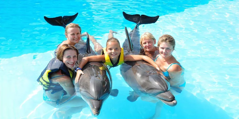 Hurghada Excursions,Hurghada ,Dolphin Show,Semi-Submarine trip